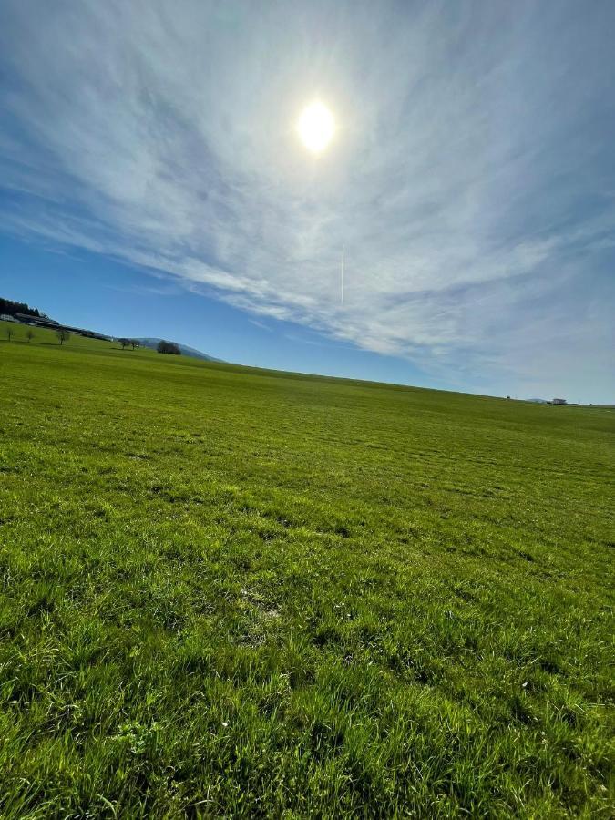 Hundefreundliche Unterkunft Im Muehlviertel In Oberoesterreich Freundorf Bagian luar foto